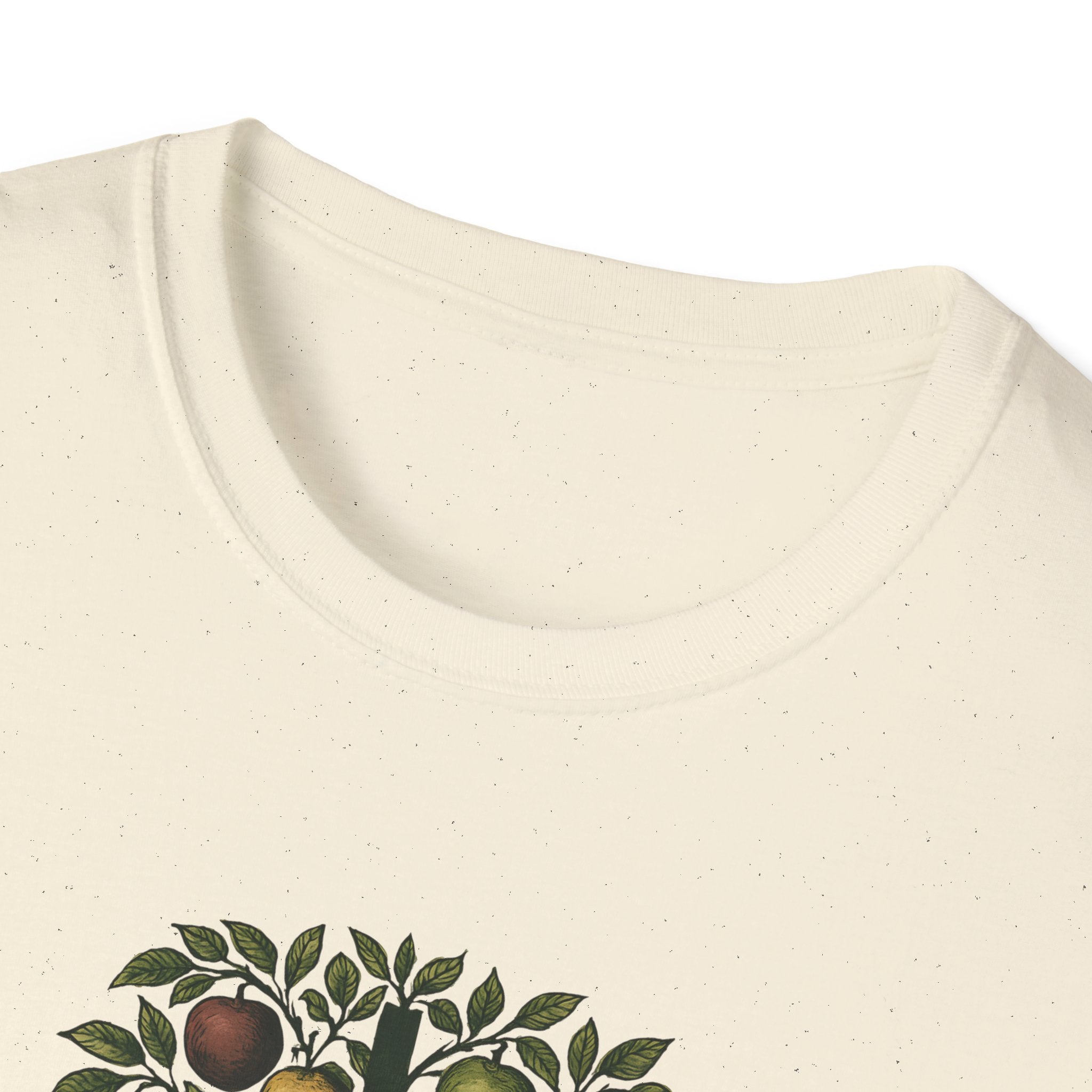 Fruits of the Spirit T-Shirt
