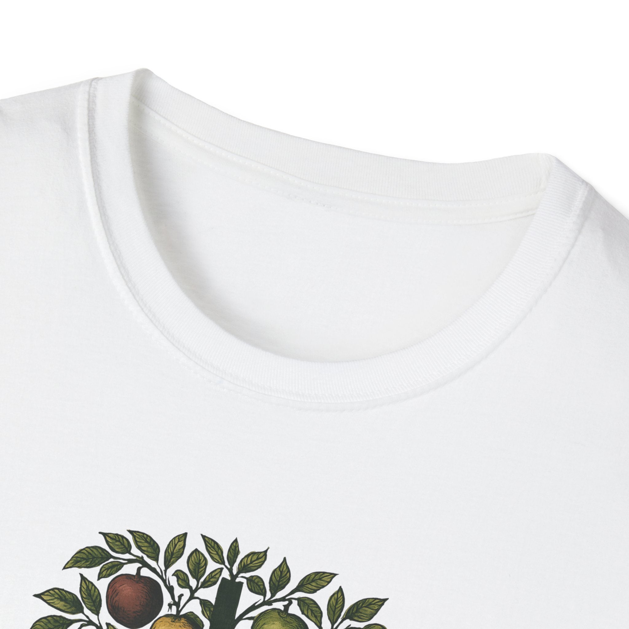 Fruits of the Spirit T-Shirt
